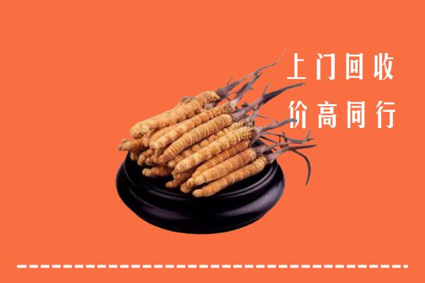 高价求购：珠海回收散虫草