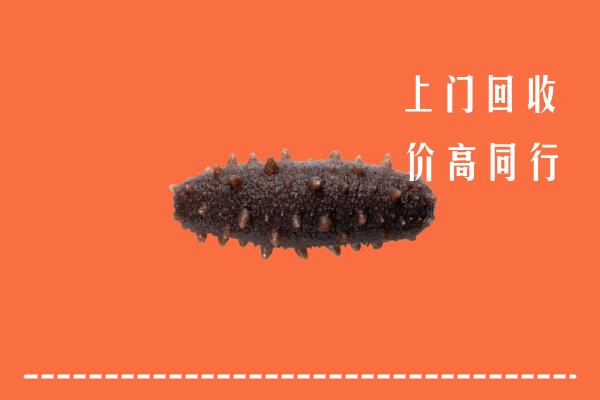 高价求购：珠海回收海参