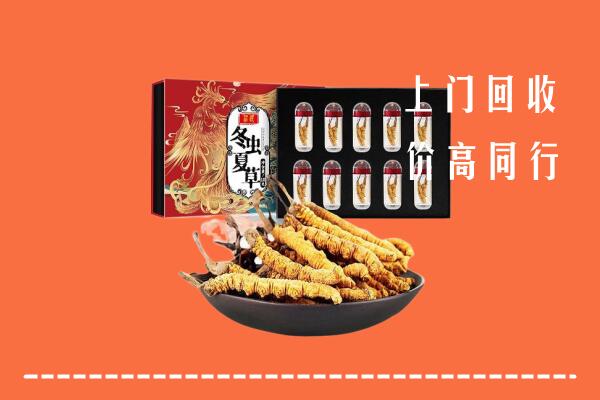珠海回收虫草